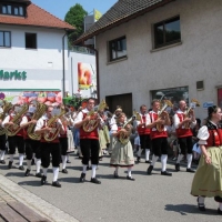 2010 Bezirksmusik- und Kreistrachtenfest Rickenbach