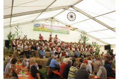2013 Hoffest Oberwihl